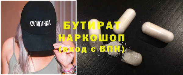 шишки Няндома