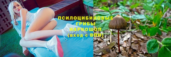 шишки Няндома