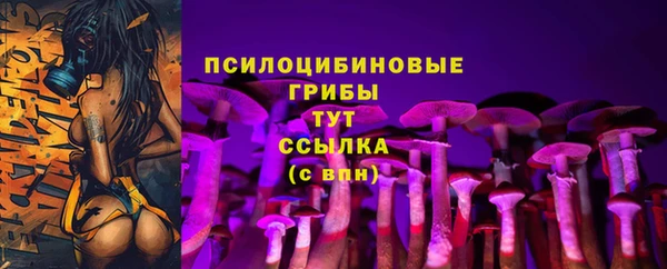 молекула духа Наволоки